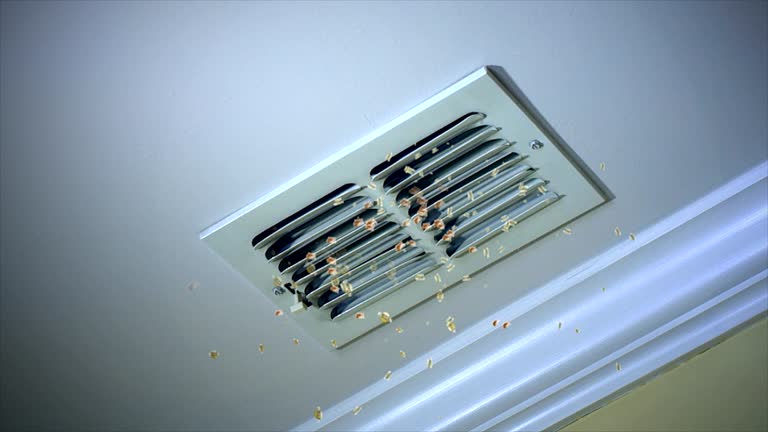 Best Local Air Duct Cleaning Services  in Soperton, GA